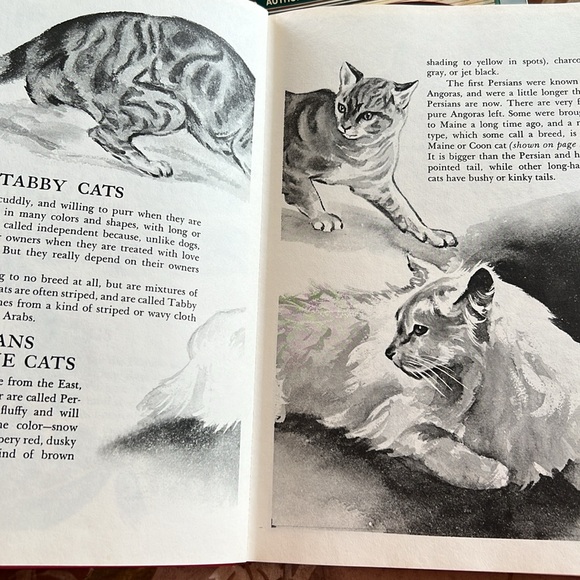 Vintage The Wonders of Nature Hardcover Book 1974 Coffee Table Book oversized - Picture 5 of 16